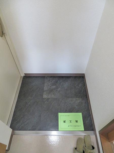 ＲＯＳＡ元町（902） 玄関