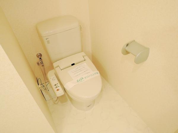 ダイドーメゾン大阪北堀江（802） トイレ