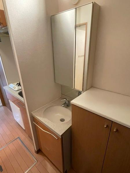 エステムコート大阪・中之島南（220） 洗面