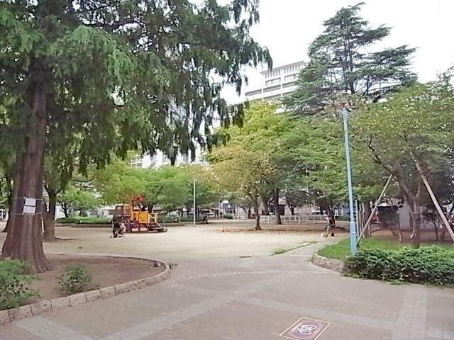 堀江公園：50m