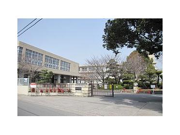 加古川市立加古川中学校：1167m