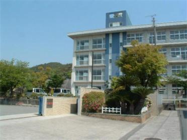 鹿島中学校：159m