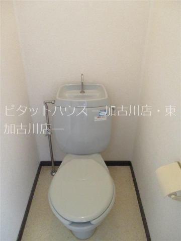 ホワイトハイツ トイレ