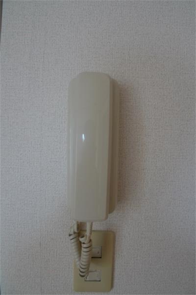 エルフランド セキュリティ