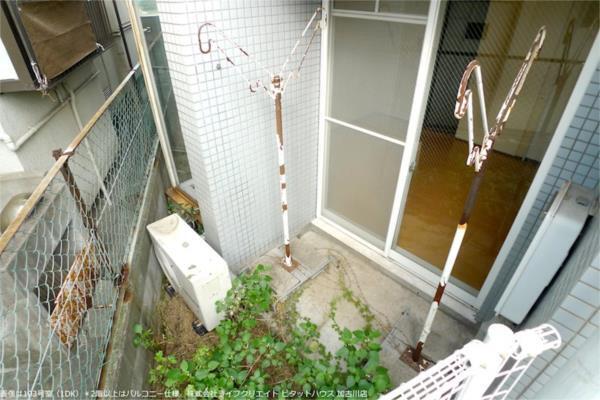 加古川ヤングパレス（303） 部屋画像