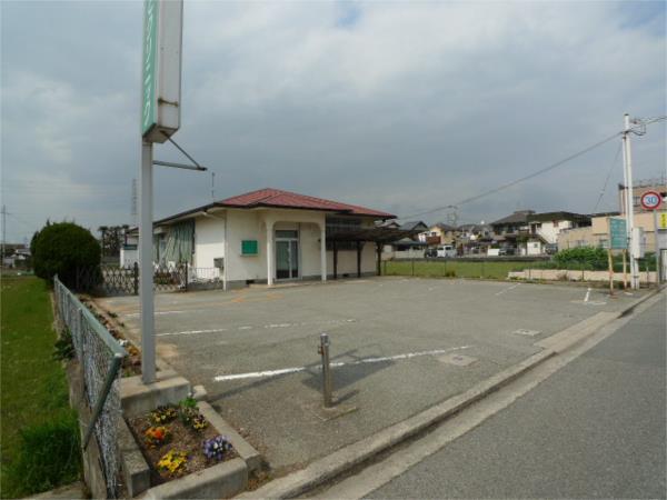 セントポーリア その他