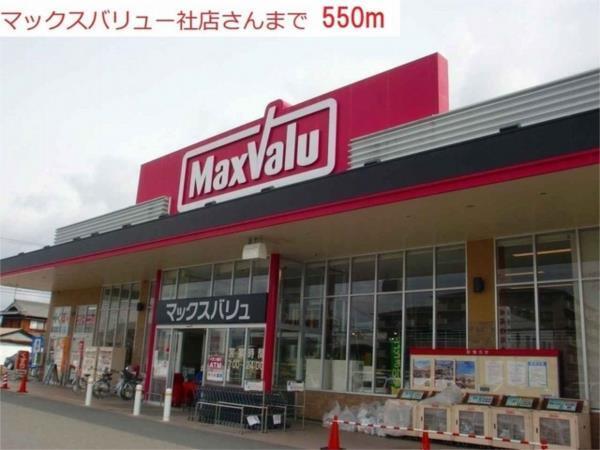カモミールIII　Ａ その他