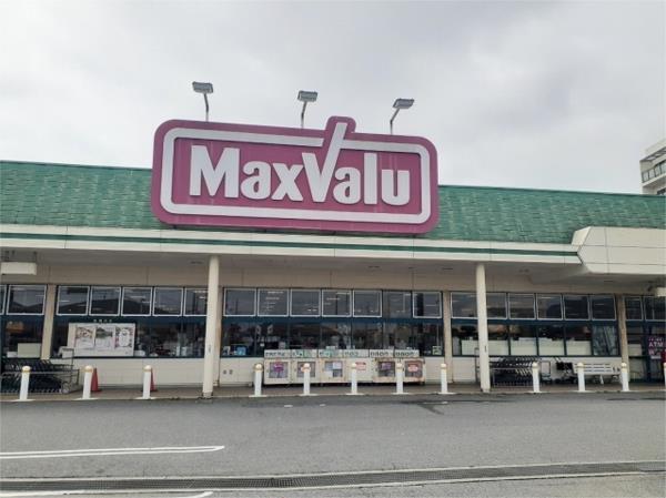 カトレアII その他