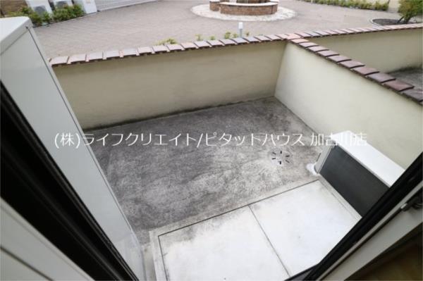 しんでれら・円山　B棟 部屋画像
