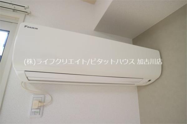 しんでれら・円山　B棟 部屋画像