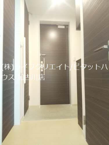 ドゥエラ 玄関