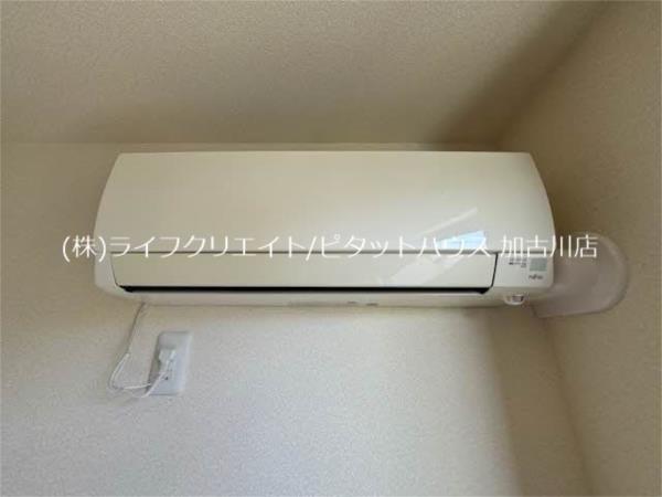 ニューフォーレス　ナガタ 部屋画像