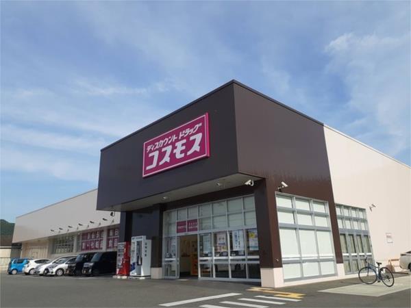 アイリス・Ｋ　I その他
