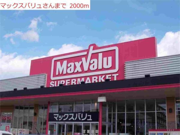 サンフローラ その他