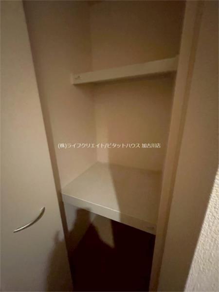 プリマベーラ その他
