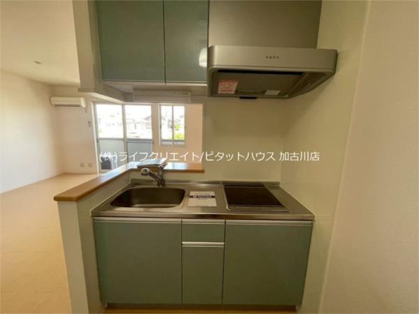 リーフデ その他
