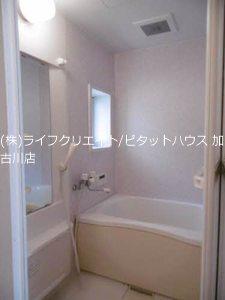 カーサチェレステ（202） その他