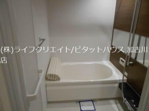シャーメゾン　トールフェスキュー バス／シャワー