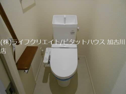 シャーメゾン　トールフェスキュー トイレ