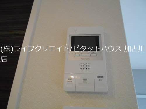 シャーメゾン　トールフェスキュー セキュリティ