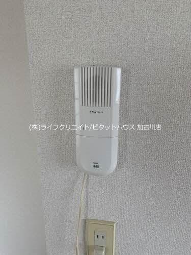 中津ハイツ（A101） 部屋画像