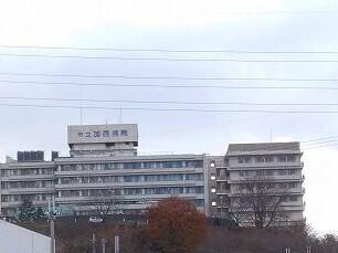 メイベリーナII その他
