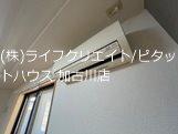 ウィンド　ヒル 部屋画像