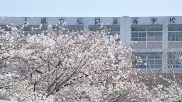 サン　フェスタＢ（103） その他