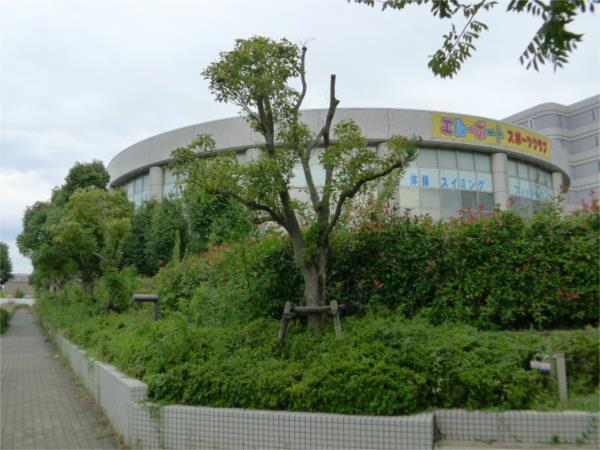 シャルムアナダ その他