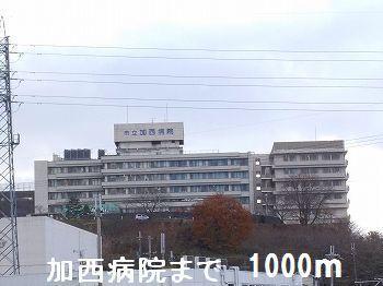 メイベリーナIII その他