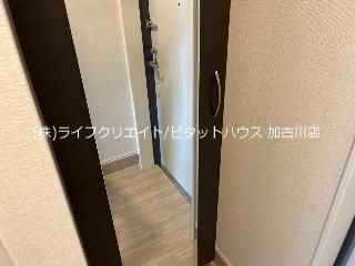 フォルトゥーナ その他