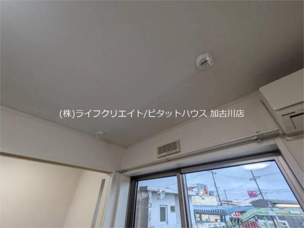 キラーナコート その他