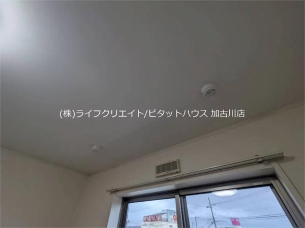 キラーナコート その他