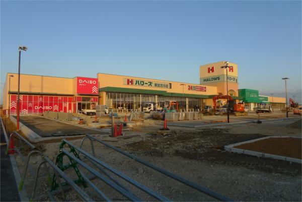 ﾊﾛｰｽﾞ東加古川店：1426m
