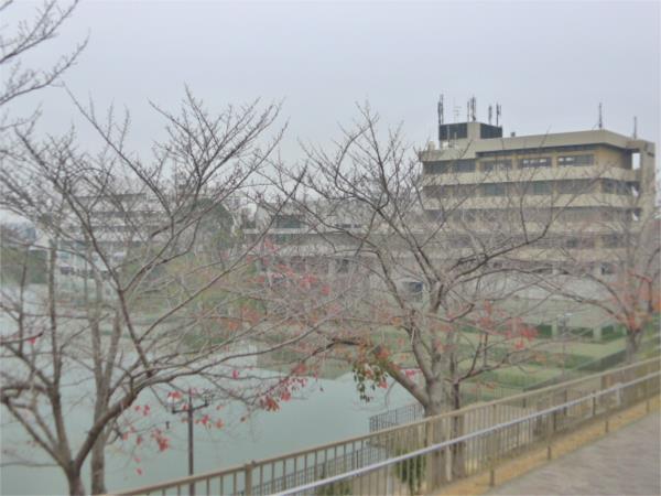 小野市役所：1254m