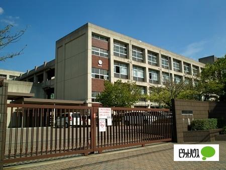 中学校