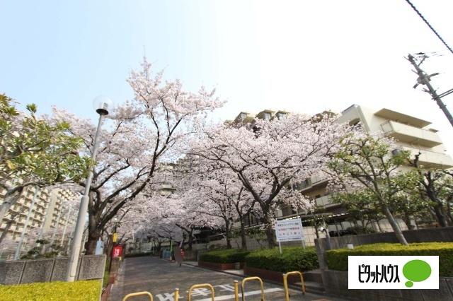 藤和東加古川ハイタウンＤ棟 共有部分