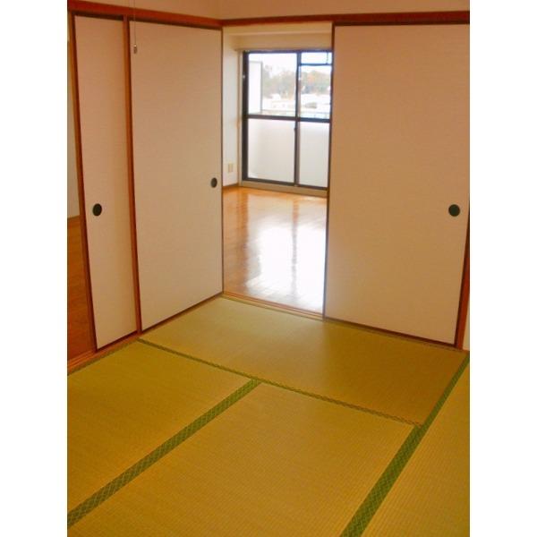 ラフェスタ彦根Ⅱ（602） 部屋画像