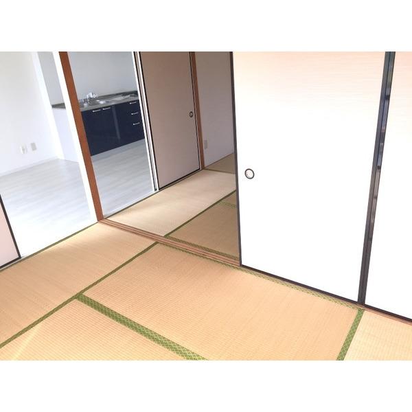 ラフェスタ彦根Ⅰ（506） その他部屋・スペース