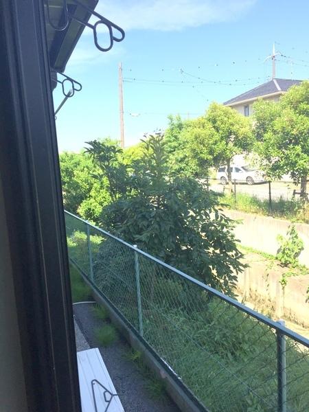 コーポリバノ（101） 庭