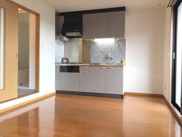 マンションヴェルジェ（301） リビング