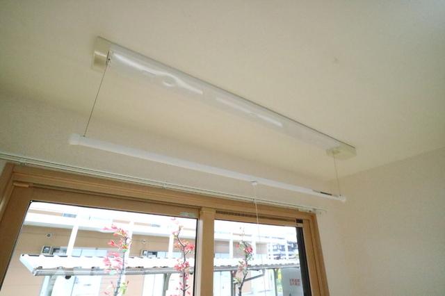 花水木Ⅱ（101） 部屋画像
