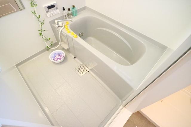 花水木Ⅱ（101） 部屋画像