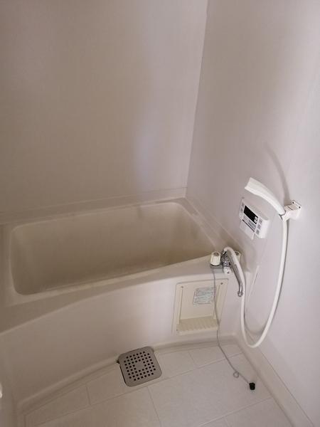 マイアビエＡ（102） 部屋画像