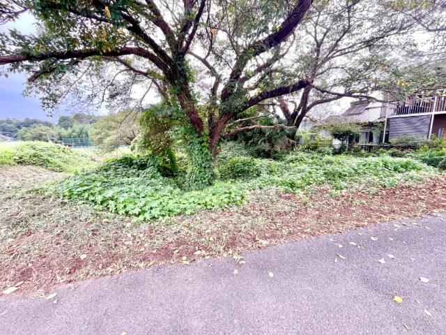 富里市七栄売地 土地