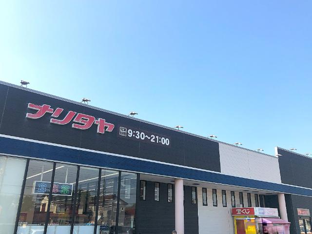 ナリタヤ富里店