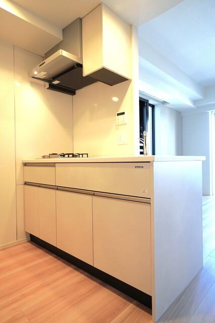ルフォンプログレ西大井プレミア（406） 部屋画像