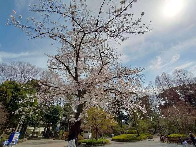 戸越公園：692m