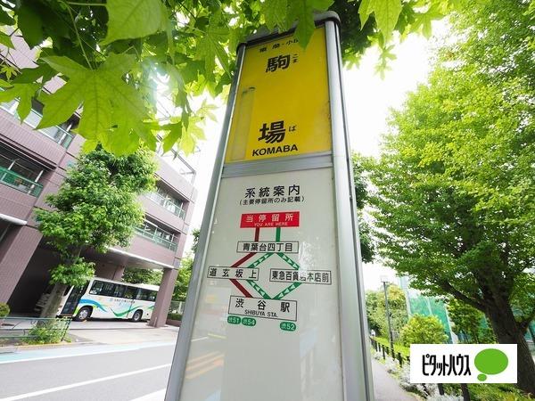 周辺環境画像