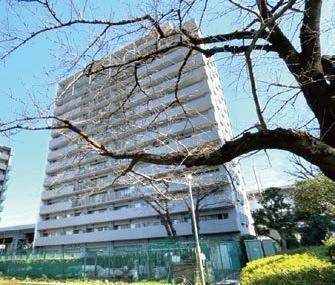 京急シティ立会川 物件画像